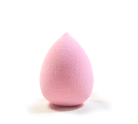 Foundation Sponge - Beautifily